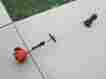 Srm-225 Echo Straight Shaft Gas Powered Weed Eater String Trimmer Srm-225 Echo Straight Shaft Gas Powered Weed Eater String Trimmer