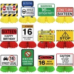 16TH Birthday Driver License Party Decorations 12 Pcs Novelty Set. Fixed Price $9.95.